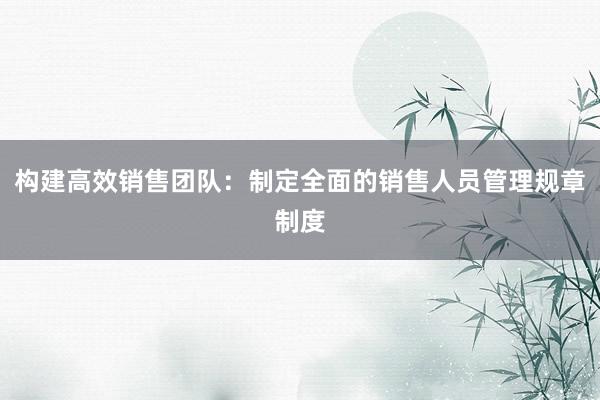 构建高效销售团队：制定全面的销售人员管理规章制度